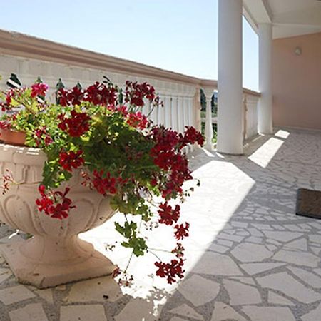 Di Vincenzo Inn Ulcinj Exteriér fotografie